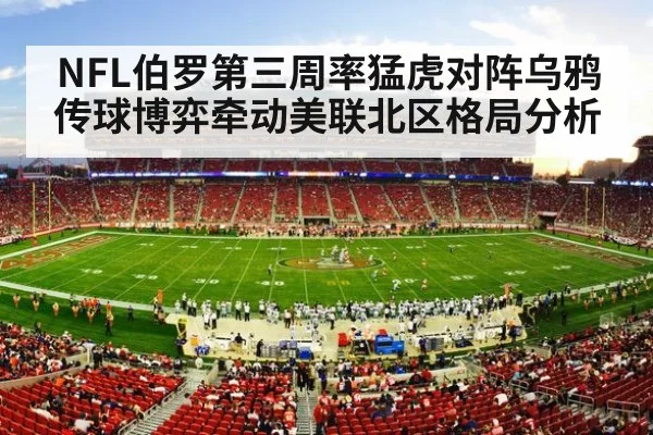 american football stadium crowd